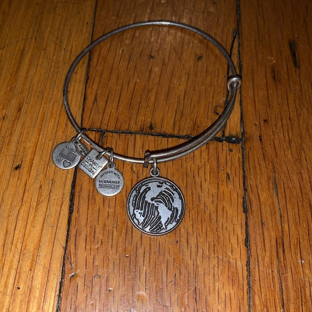 Alex and Ani Rafaelian Silver Fingerprint on the World Charm Bangle Bracelet